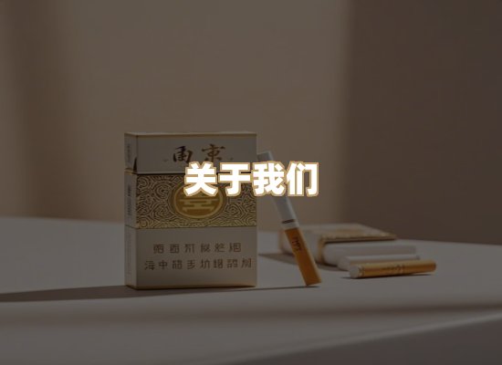 关于云歌烟网